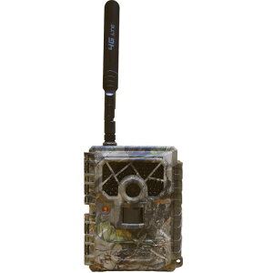 ZT[J WAMLv`[04  Be ԊO 쐶 {\ t@[GCW