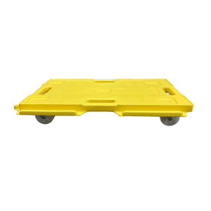 5֑ CgL[ ZCn  }`J[g SH12501 CG[