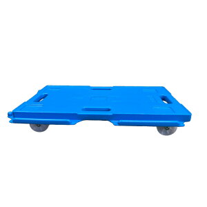 5֑ CgL[ ZCn  }`J[g SH12501 u[