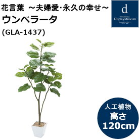 ウンベラータ GLA-1437 人工観葉植物 鉢付観葉植物 フェイクグリーン 造花