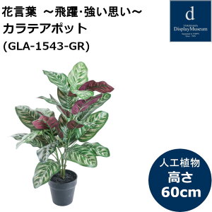JeA|bg GLA-1543 lHϗtA tϗtA tFCNO[ 