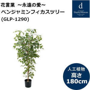 xW~tBJX GLP-1290 180cm lHϗtA tϗtA tFCNO[ 
