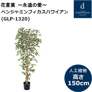 �x���W���~���t�B�J�X�n���C�A�� GLP-1320 �l�H�ϗt�A�� ���t�ϗt�A�� �t�F�C�N�O���[�� ����