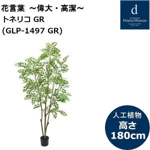 glR GLP-1497 180cm lHϗtA tϗtA tFCNO[ 