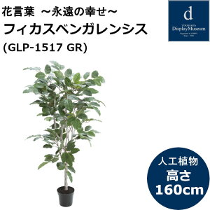 tBJXxKVX GLP-1517 lHϗtA tϗtA tFCNO[ 