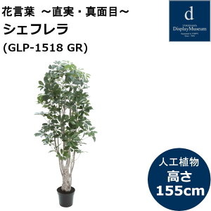 VFt GLP-1518 lHϗtA tϗtA tFCNO[ 