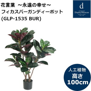 yubNtCf[ԃGg[Ń|Cg10{z tBJXo[KfB[|bg GLP-1535 lHϗtA tϗtA tFCNO[ 