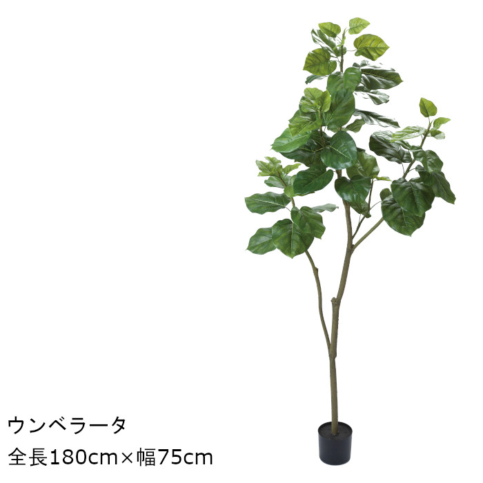 アーティフィシャルグリーン 人工観葉植物 フェイクグリーン 造花 180cm 在庫あり ついに再販開始 ウンベラータ GLP-1498 鉢付観葉植物