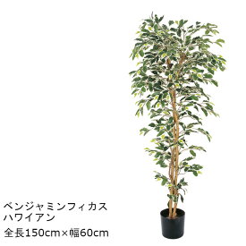 ベンジャミンフィカスハワイアン GLP-1320 人工観葉植物 鉢付観葉植物 フェイクグリーン 造花