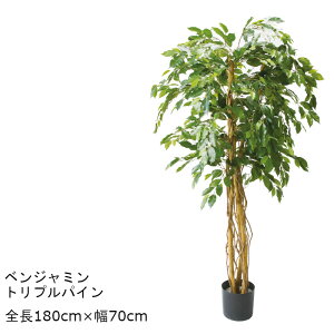 �x���W���~���g���v���p�C�� GLP-1190 180cm �l�H�ϗt�A�� ���t�ϗt�A�� �t�F�C�N�O���[�� ����