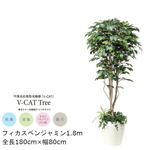 yubNtCf[ԃGg[Ń|Cg10{z ϗtA G} tBJXxW~A͕t GLPA-052 180cm lHϗtA tϗtA tFCNO[ 