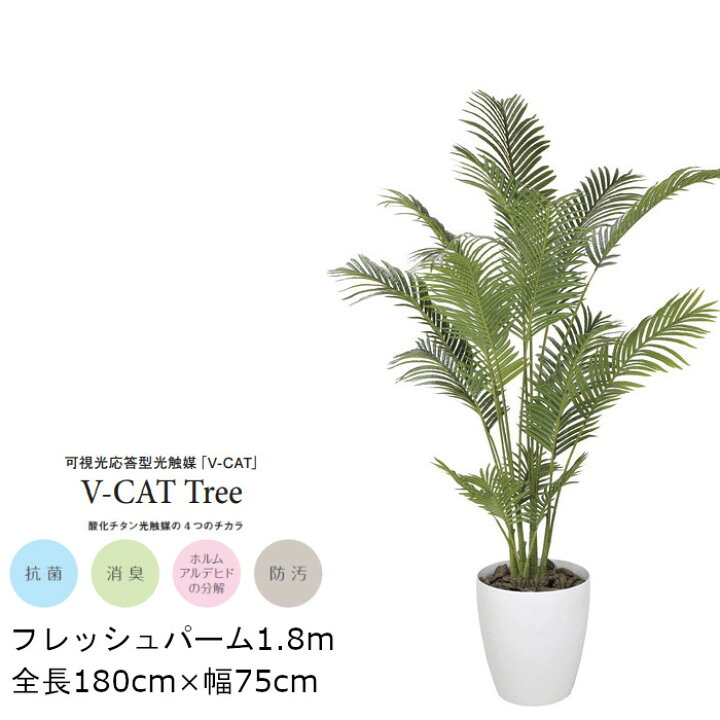 楽天市場】観葉植物 光触媒 フレッシュパーム GLPA-059 180cm 人工観葉 