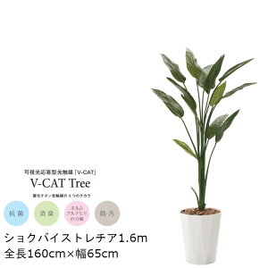 �ϗt�A�� ���G�} �V���N�o�C�X�g���`�A GLPA-071 160cm �l�H�ϗt�A�� ���t�ϗt�A�� �t�F�C�N�O���[�� ����