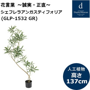 VFtAKXeBtHA GLP-1532 lHϗtA tϗtA tFCNO[ 