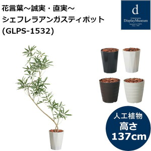 VFtAKXeB|bg GLPS-1532 130cm lHϗtA tϗtA tFCNO[ 