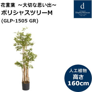 �x���W���~���o���b�N�|�b�g GLA-1505 �l�H�ϗt�A�� ���t�ϗt�A�� �t�F�C�N�O���[�� ����