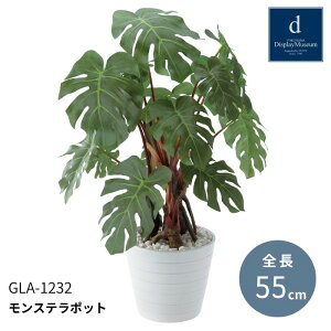 tFCNO[ lHϗtA  ԍ mXe|bgn|bg Xܑ POPPY |s[ lfBXvC~[WA