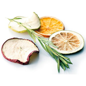 VgX|vE~j N 1܁i65gj  I[ig  fR[V fBXvC X  tFCN hCt[ Xܑ POPPY