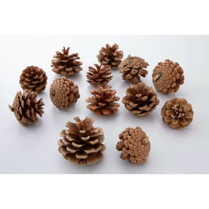  TCY A\[g 1܁i10`20j  I[ig  fR[V fBXvC X  tFCN hCt[ Xܑ POPPY