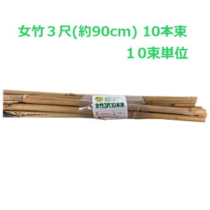 | |x 3 90cm 100{ | VR|  x 10{×10