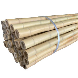 �y�k�C�����@�l�l����z�T���V�| ��3.9m 30�{�� 1���P�� ���| �| �V�R�| ���� ���� �|�_ �~�͂� ��͂�