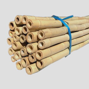 �y�k�C�����@�l�l����z�T���V�| ��3.9m �y���z 1���P�� ���| �| �V�R�| ���� ���� �|�_ �~�͂� ��͂�