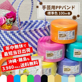 【新色8色販売中】 PPバンド 手芸 手芸用PPバンド プラカゴ バッグ 手芸バンド 15mm 15mm×100m 標準色 信越工業 年中無休発送