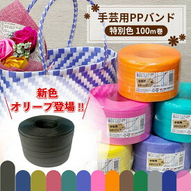 【新色8色販売中】 PPバンド 手芸用PPバンド プラカゴ バッグ 手芸バンド 15mm 15mm×100m 特別色 信越工業 年中無休発送