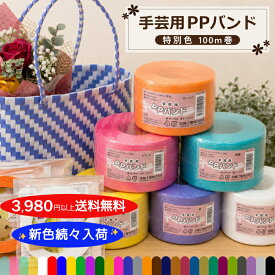 【新色登場】 PPバンド 手芸用PPバンド プラカゴ バッグ 手芸バンド 15mm 15mm×100m 特別色 信越工業 年中無休発送