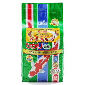 y4ܒPʁzL[ Ђ 嗱 i ьp 4kg a GT Y