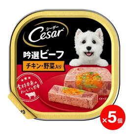 【賞味期限間近】シーザー 吟撰ビーフ チキン・野菜入り 100g ×5個 マースジャパン 犬用フード
