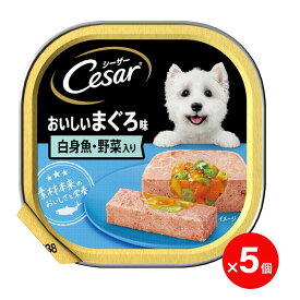 【賞味期限間近】シーザー おいしいまぐろ味 白身魚・野菜入り 100g ×5個 マースジャパン 犬用フード
