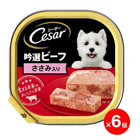 【賞味期限間近】シーザー 吟選ビーフ ささみ入り 100g ×6個 マースジャパン 犬用フード