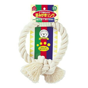 y݌ɏZ[zyeBI ̂ ݂O L ^p  f^PA