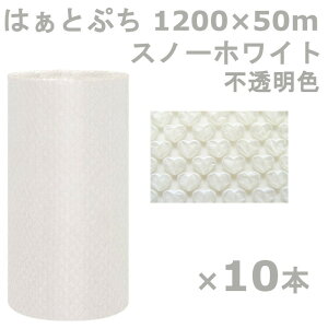 v`v` [ 1200 ͂ƂՂ Y Xm[zCg 1200×50m