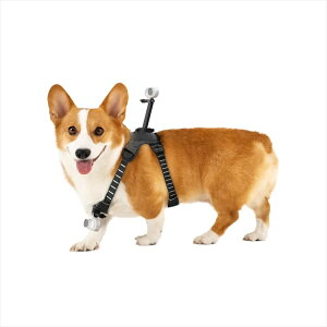 Insta360 GO 3S ybgn[lX}Eg Size M - Pet Harness Mount | CINSBAVW