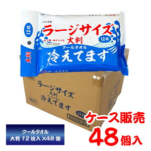 yP[X̔(48)z唻 N[^I [WTCY ₦Ă܂ 40×30cm 12  {fBV[g ⊴V[g fIhg  ΍ MǑ΍ ЊQp hЗpi ii̖{ 4887