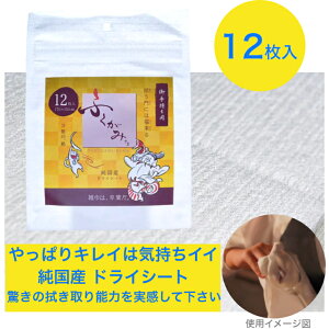 【郵送】 ふくがみさま 12枚入り ぞうきん ドライシート 油汚れ 拭き掃除 水だけ ふき取り性能抜群 不織布 ウェットシートとして使える ポイント消化 買い回り