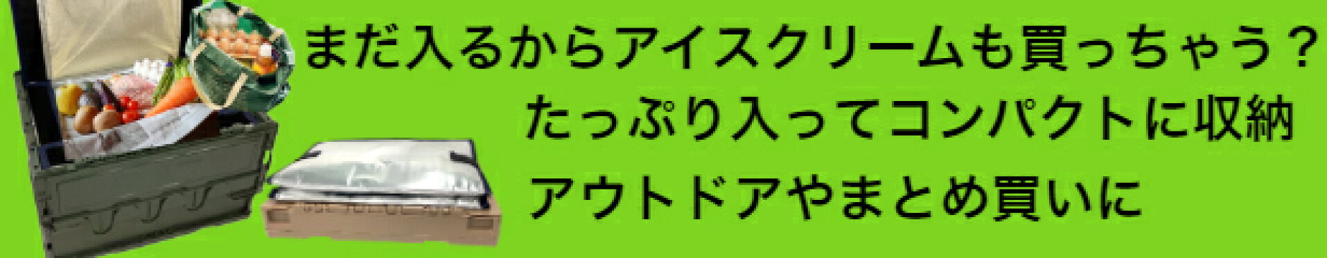 保冷保温バック付き折りコンボックス50