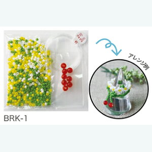 BRK-1 r[YOLbg yg[z[r[YFt@Ng[z KXr[Y { r[Y Lbg l