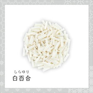 �r�[�Y�h���q �ד񕪒|�r�[�Y10g ���S��(������) nibu-shirayuri�y�g�[�z�[�r�[�Y�����F�t�@�N�g���[�����z