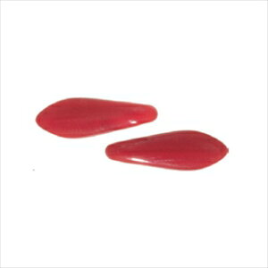 `FRCg DAGGER 5×16mmyg[z[r[YFt@Ng[z