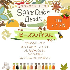 XpCXJ[r[Y@1 yg[z[r[YFt@Ng[z