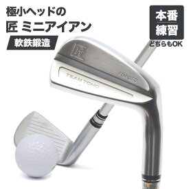 匠ミニアイアン 軟鉄鍛造 極小ミニヘッド 小ぶりヘッド 小型アイアン 練習器具 トレーニング 本番でも使える 42度 35インチ スチールシャフト NS製シャフト 高密度樹脂系グリップ