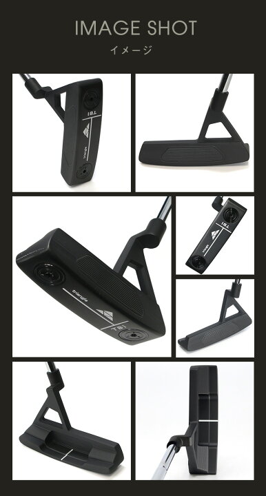 楽天市場】パター スピンコントロール 軟鉄削出しパター / ピンタイプ 