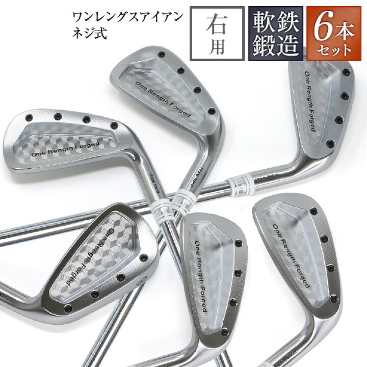 楽天市場】6本セット 単品 ワンレングス 軟鉄鍛造 アイアンセット ネジ 
