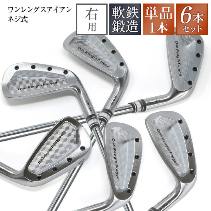 楽天市場】6本セット 単品 ワンレングス 軟鉄鍛造 アイアンセット ネジ 