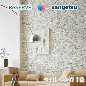 ̂ȂǎtH[i sR hJr R  ^CEK TILEEBRICKS TQcU[u1000 RESERVENX fUC   