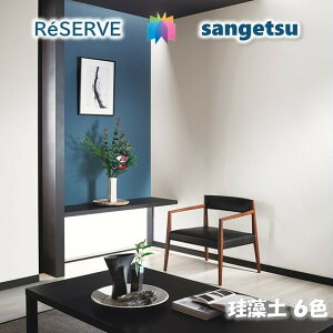 ̂ȂǎOZ[ sR hJr z ]y DIATOMITE TQcU[u1000 RESERVENX fUC   