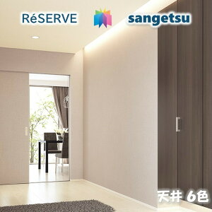 ̂ȂǎtH[i sR hJr R ʋC L [GA[V CEILING TQcU[u1000 RESERVENX fUC   